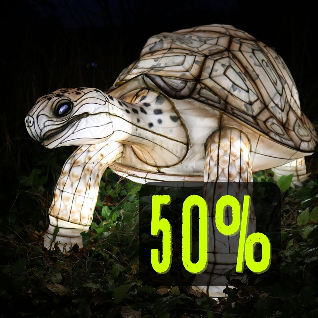 Zoo-Lights Kind (3-6 Jahre) 50%