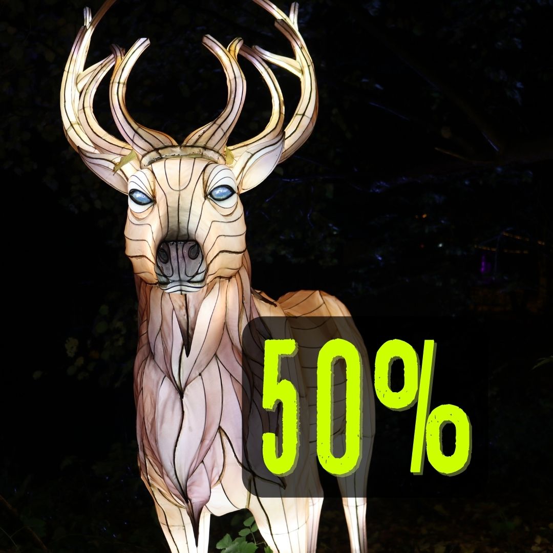 Zoo-Lights Erwachsener 50%