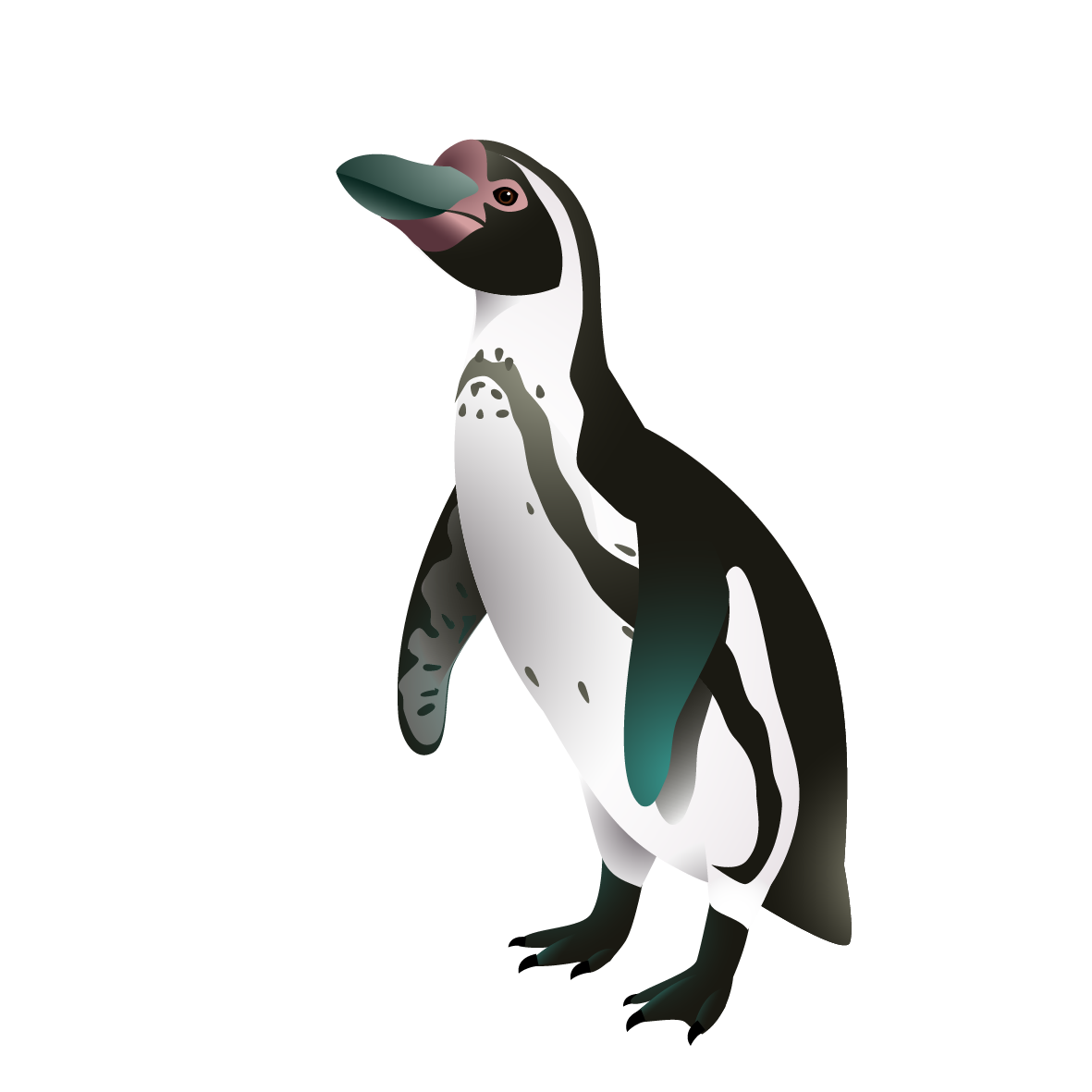 Meet & Greet Pinguine